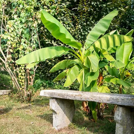 Giani Annone di Brianza