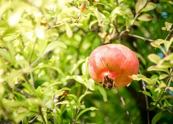 ヴィラ Giani Annone di Brianza