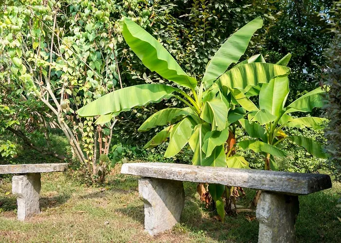 Giani Annone di Brianza